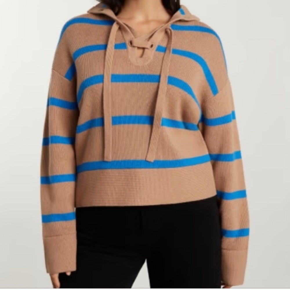 Everlane || Brown and Blue Striped Sweater Size L
